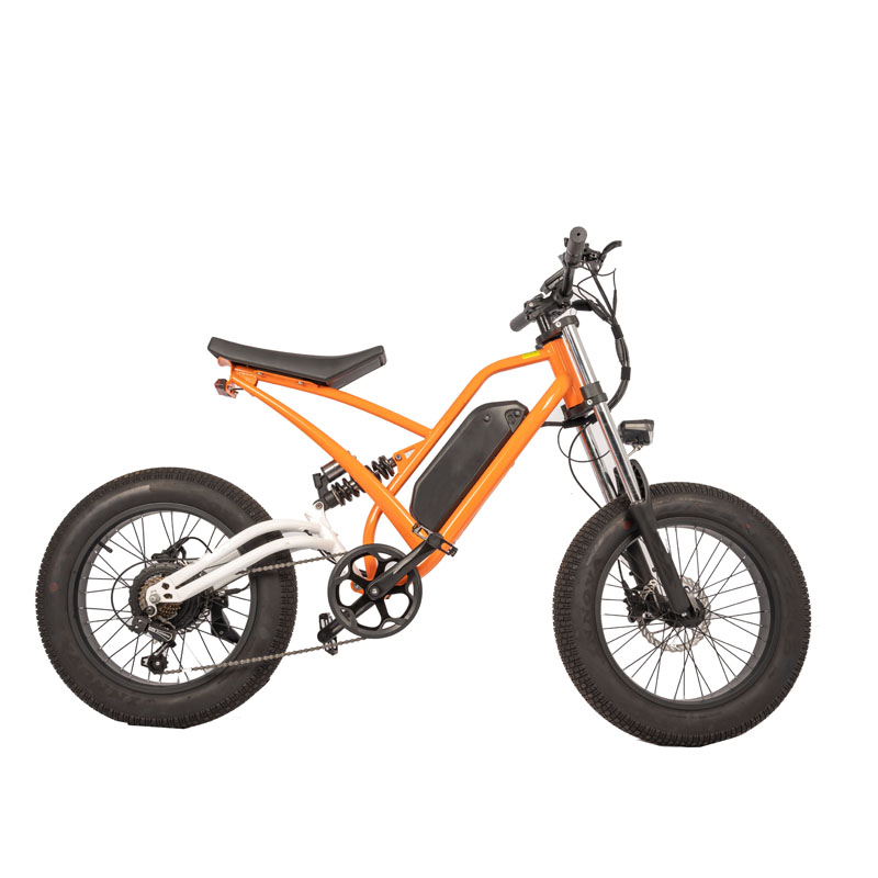 Steel Frame High Power Ebike 1000w Electric Bicycle with LCD Display and Fat Tire Bike
