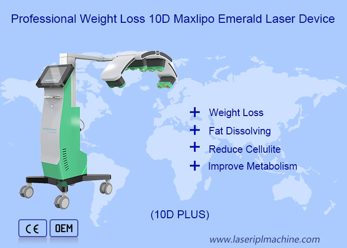 Vertical Luxmaster Laser Physiotherapy 405nm 10d Cold Red Light Machine