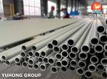 ASTM A213 TP316H Stainless Steel Seamless Tube, Heat Exchanger, Superheater
