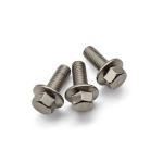 Serrated Undercut A2-70 Stainless Hex Flange Screw ZINC Plated for Heavy-Duty