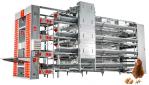 Automatic Layer Battery Chicken Cages 4 Tiers 5 Tiers Agricultural Poultry