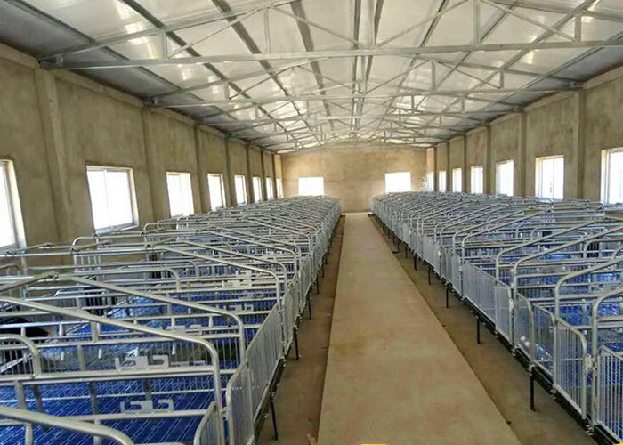 PVC Panel Fence Pig Farrowing Crate / Pig Farrowing Pen Over All Hot Dip Galvanization
