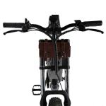 DOMANCA 750W High Speed Dirt Bike Off-road Fat Tire Ebike Customized E Bike