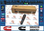 Fuel Injector 3054228