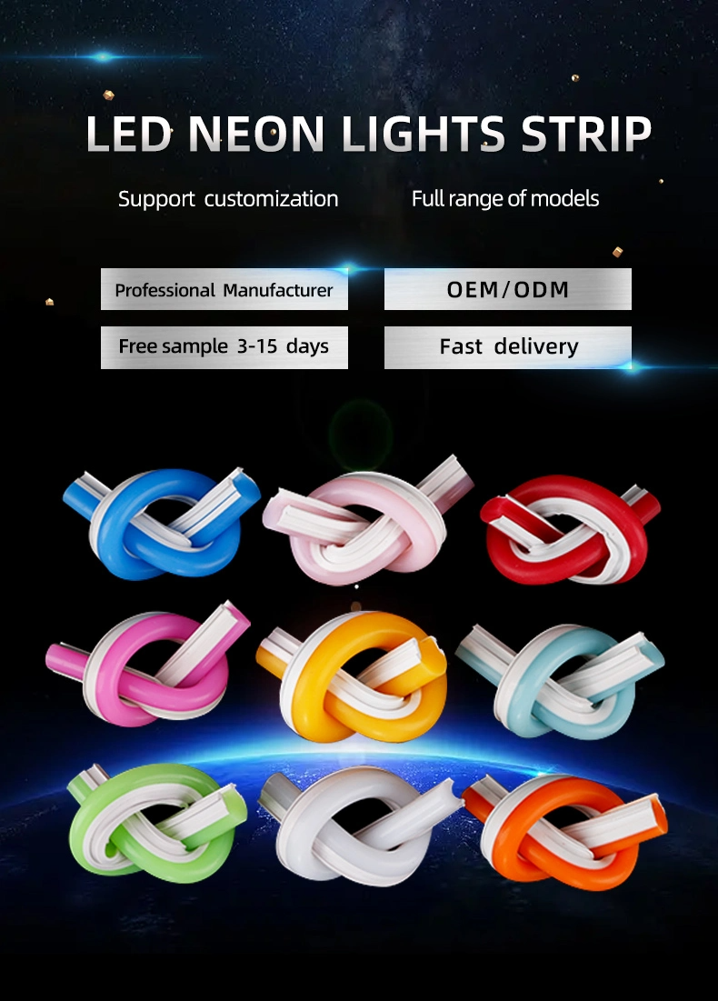3- ODM/OEM Pure Silica Gel Neon Rope DC12V DC24V IP67 Waterproof 120leds/m SMD 2835 Led Neon Lights for Outdoor and Indoor
