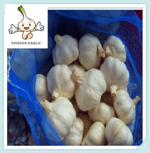 Wholesale Fresh Garlic Vegetable Garlic Price /hot sale garlic/good quality garlic from china suppliers