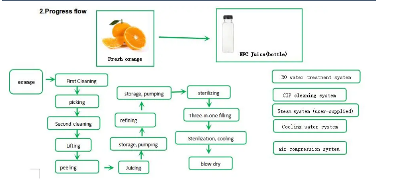 Commercial Automatic Orange Juicer Machine 1t/H Or As Required