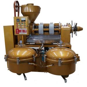 Wholesale Peanut Rapeseed 304SS 316SS Commercial Oil Press Machines 380V from china suppliers