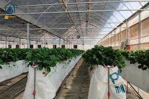 Wholesale Big Agricultural Modern Garden Greenhouse Plastic Film Multi Span Nursary Greenhouse from china suppliers