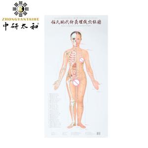 Wholesale Individualized Acupuncture Culture Harnessing Body's Natural Healing Abilities With Acupuncture from china suppliers