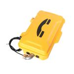 Anti Vandal IP66 1.5W SOS Aluminum alloy SIP Telephone