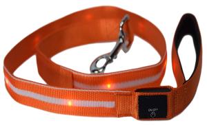 Wholesale Luxury LED Dog Leash With Flashlight , Durable Nylon Webbing Dog Leash from china suppliers