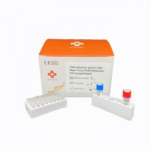 Wholesale High Accuracy Molecular Diagnosis  Helicobacter Pylori RT  QPCR Kit Lyophilized from china suppliers