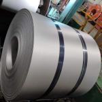 ASTM A36 PVDF Carbon Steel Coils 800mm Hot Rolled Steel Coil Ss400 S235 S355