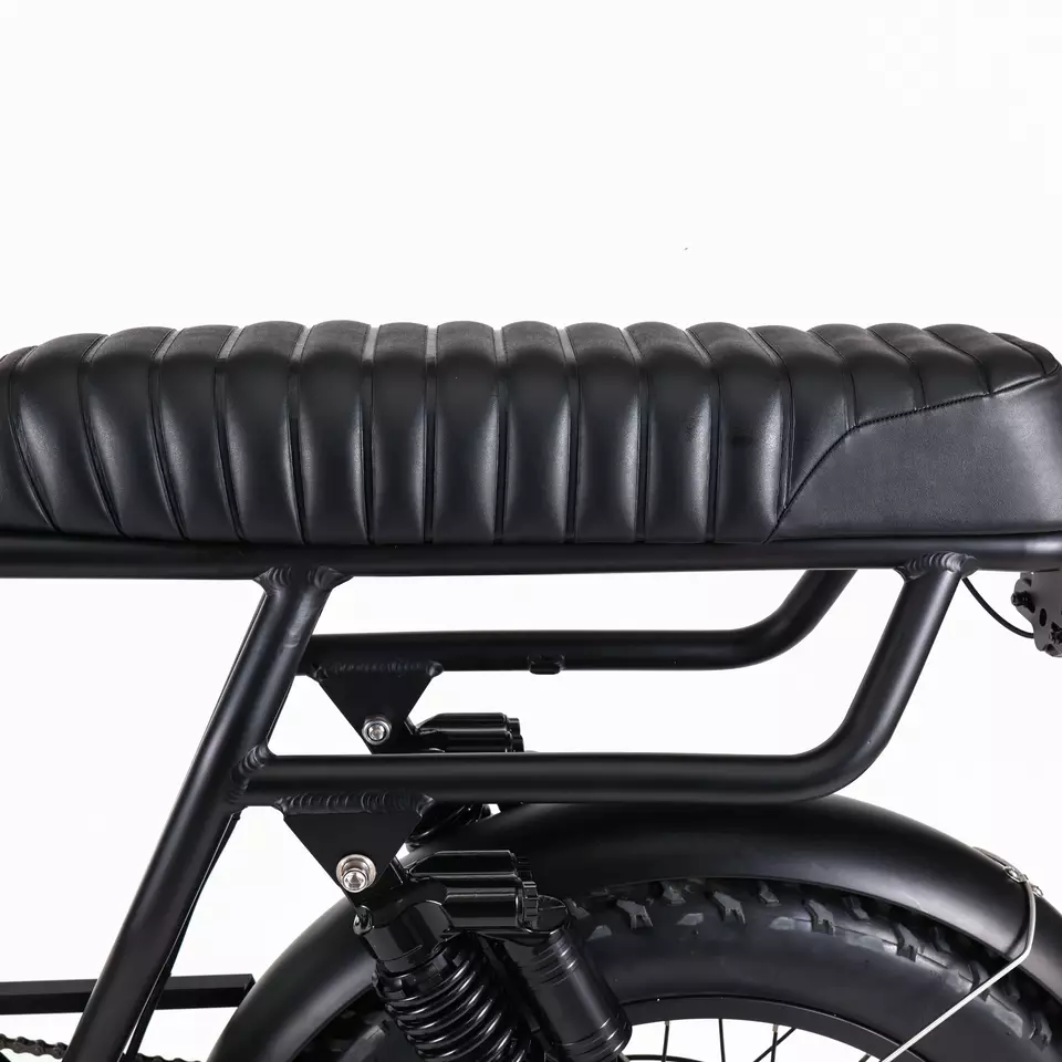 7 Speed Gears Full Suspension Electric Bike with 1000W Motor 1-3 Hours Charging Time