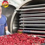 Professional Freeze Drying Machine for Snack Food -18C -60 C Pre-freezing