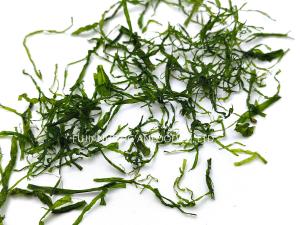 Wholesale HACCP Sustainably Harvested 350g Mossy Green Prolifera Ulva Seaweed Added In Salad from china suppliers