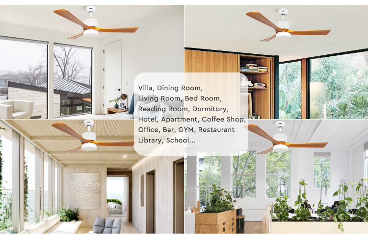 LED Ceiling Fan Decorative Lighting with Electric DC Motor and Remote Control Function
