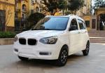 6000w Electric Golf Carts With 5 Doors 4 Seats BMW Style Fan Heater MP3 Radio