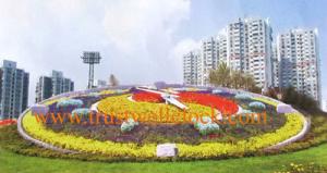 Wholesale floral/garden clock movement motor 3m 10ft-60m diameter,floral clock 4m dia.,- (YANTAI)TRUSTWELL CO from china suppliers