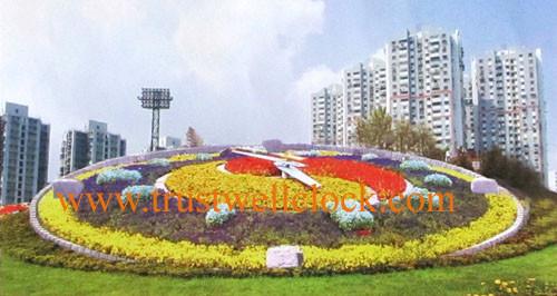 floral clock 4m diameters,flower clock,5m diameter,floral clocks 6m diameter