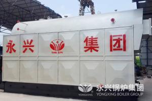 Wholesale Wood Fired Steam Boiler DZL Type Chain Grate Stoker from china suppliers