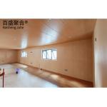 Customized Color Container Houses for Outdoor Modern Living Apple Cabin Prefab