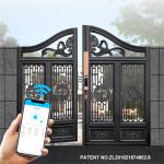Automatic Double Sided Aluminum Art Door Waterproof Smart Locks