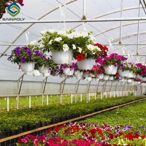 Wholesale OEM Agriculture Green House Commercial Glass Greenhouse With Humidity Regulation from china suppliers
