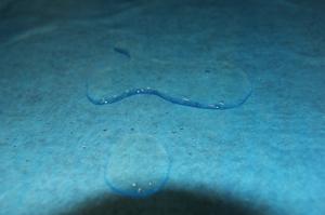 Wholesale 100% Polyester Floor Protection 1mx50m Painter Floor Cover Felt Abdeckvlies 180g/Sqm Protection Fleece For Painters from china suppliers
