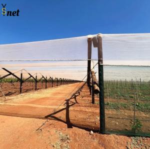 Wholesale White Anti Hail Net Customized Garden Windbreak Netting 30gsm - 90gsm from china suppliers