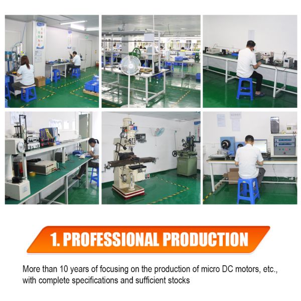 FT-31ZY Carbon Brushed Micro Motor 6V 12V 24V DC Micro Motor For Smart Homes