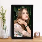 Non-Touch Screen 17.3inch Mobile Digital Photo Frame for Professional Video