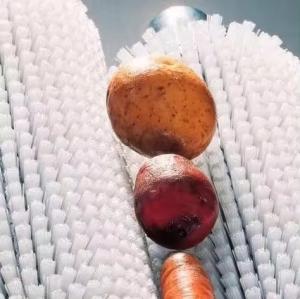 Wholesale Nylon Roller Brush For Fruit And Vegetable Cleaning Roller Brush from china suppliers