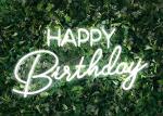 2835 Led Neon Lighted Sign