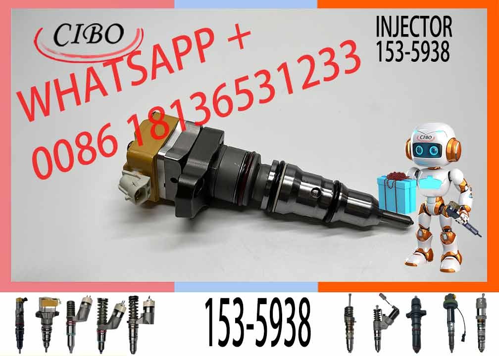 Common rail injector fuel injecto 174-7526 174-7528 179-6020 153-5938 3412 3412E/5110B