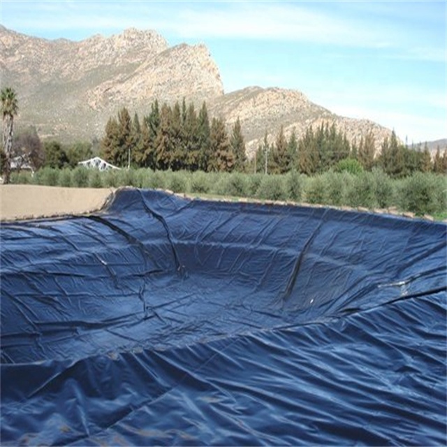 Swimming Pool Liner HDPE LDPE Dam Liner for Aquaculture Waterproofing 0.2mm-3mm Thickness