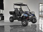 Gas Utility Vehicles 200EUX (EFI) Utv Automatic CTV With Reverse Flips Down 32