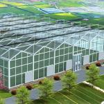 Double Layer Glass Greenhouse Hydroponics System for Flower Cultivation 30 Day