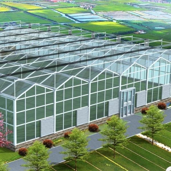 Double Layer Glass Greenhouse Hydroponics System for Flower Cultivation 30 Day