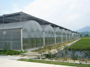 Wholesale Bolting Connection Polycarbonate Panel Greenhouse , Durable Dome Shaped Greenhouse from china suppliers