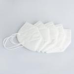 FFP2 EN149 Dust Masks
