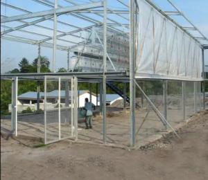 Wholesale Q235B Q355B Steel Framed Agricultural Buildings High Strength from china suppliers