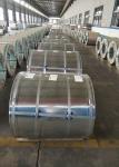 JIS G3312 1000mm Width Prepainted Color Steel Coils