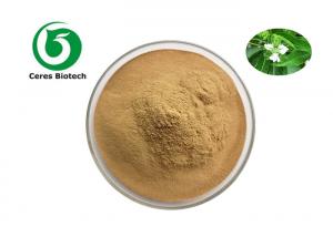 China Factory Supply Pure Natural Adhatoda Vasica Extract 10:1 2% 98% for Relieving Pain on sale