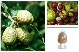 Horse Chestnut P.E., Aescin 20% ,CAS NO.: 6805-41-0, 100% natural anti