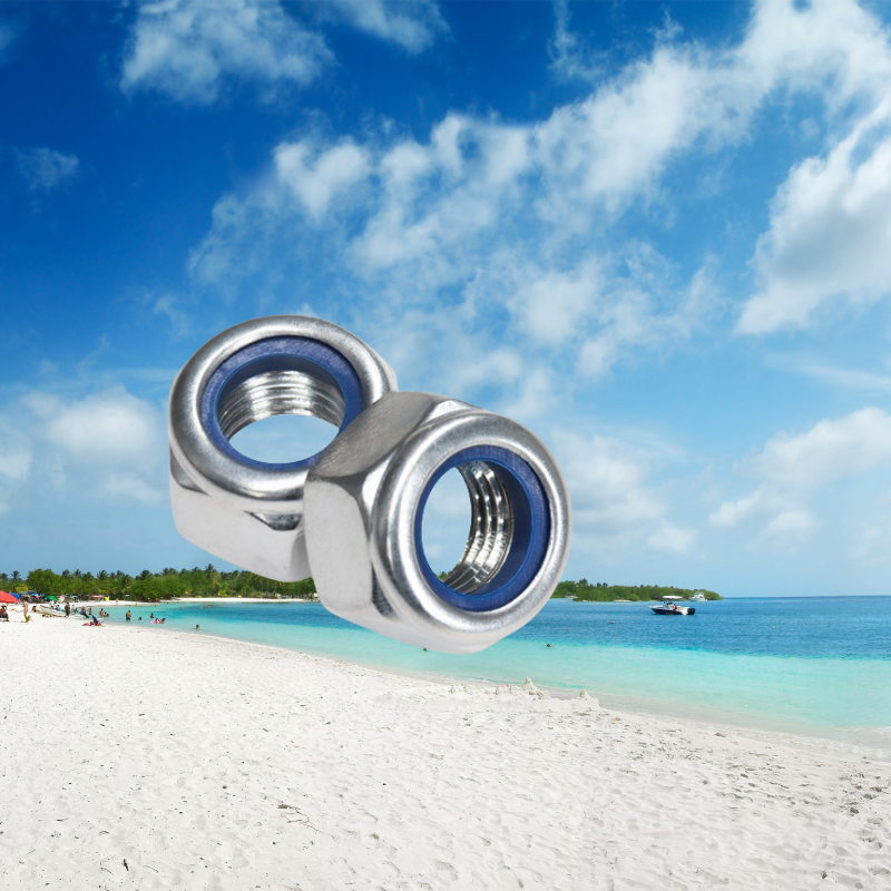 Healthcare Metric M5 5/16 Self-Locking Hexagon DIN985 Stainless Steel 304/316 Nylon Insert Lock Nut for Heavy Industry
