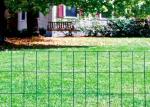 4ft X 50ft PVC Coated Welded Mesh Rolls For Garden Guard Barrier