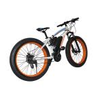 Fat Tire Snow 2 Wheel Electric Bike 500w Foldable 4-6h Charging Time With CE
