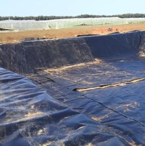 Wholesale Long-Lasting HDPE Geomembrane for Asian Design Style Pond Lining in Other Regions from china suppliers